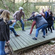 teamplus teambuilding